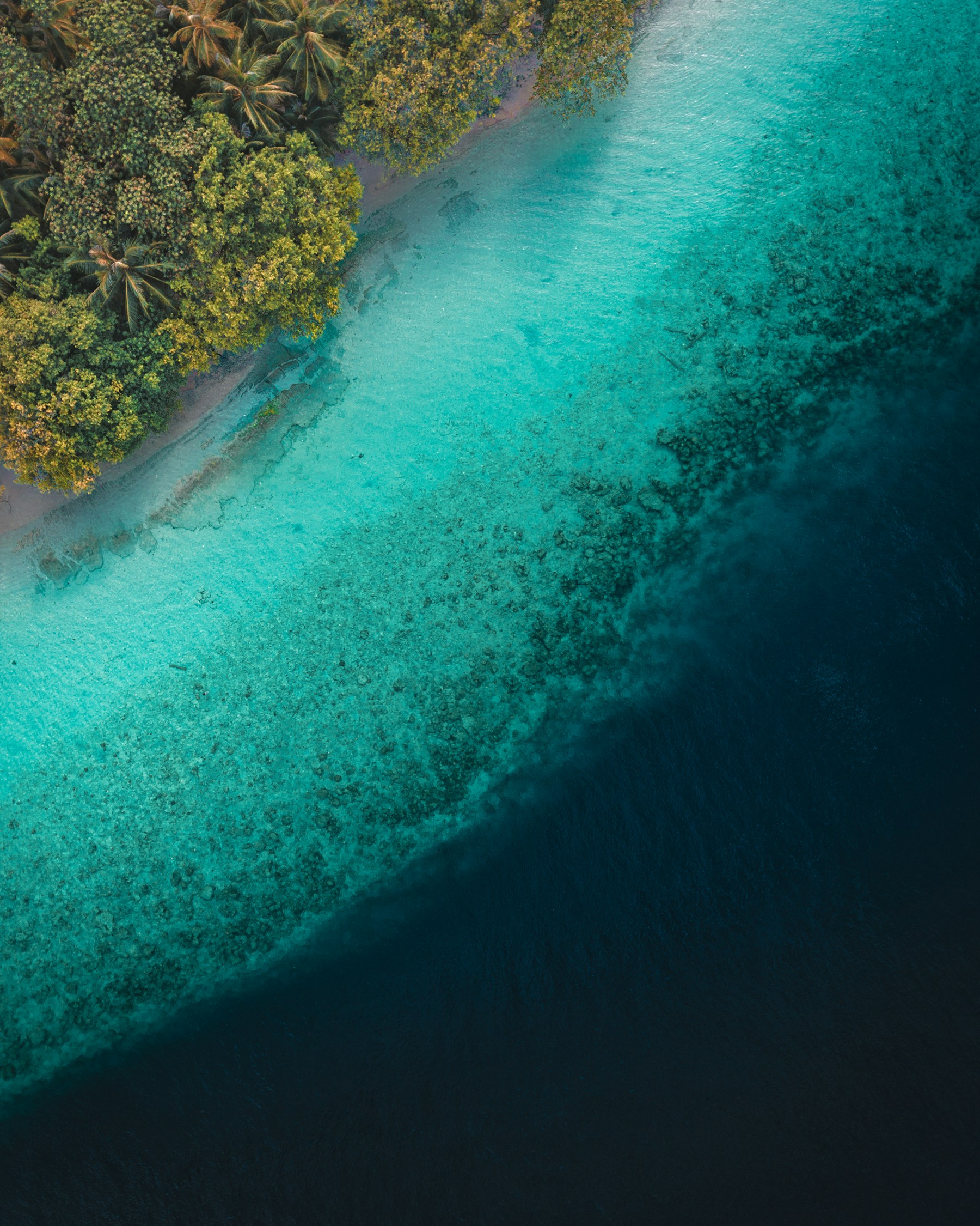 Aerial view of Kendhoo lagoon, Maldives — illustrative location