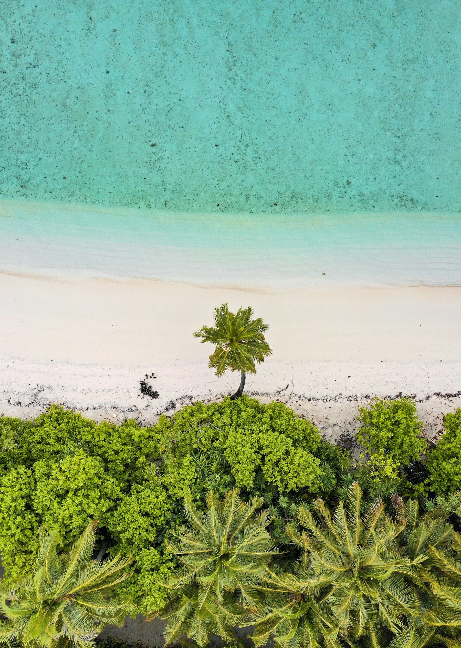 Palm-lined Maldivian island and turquoise water — illustrative location
