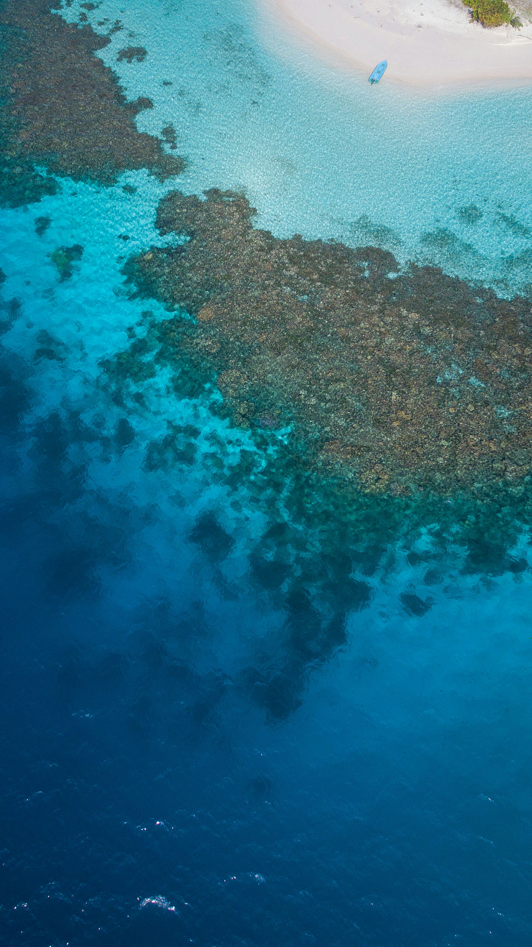 Aerial view of a Maldivian reef and lagoon — illustrative location